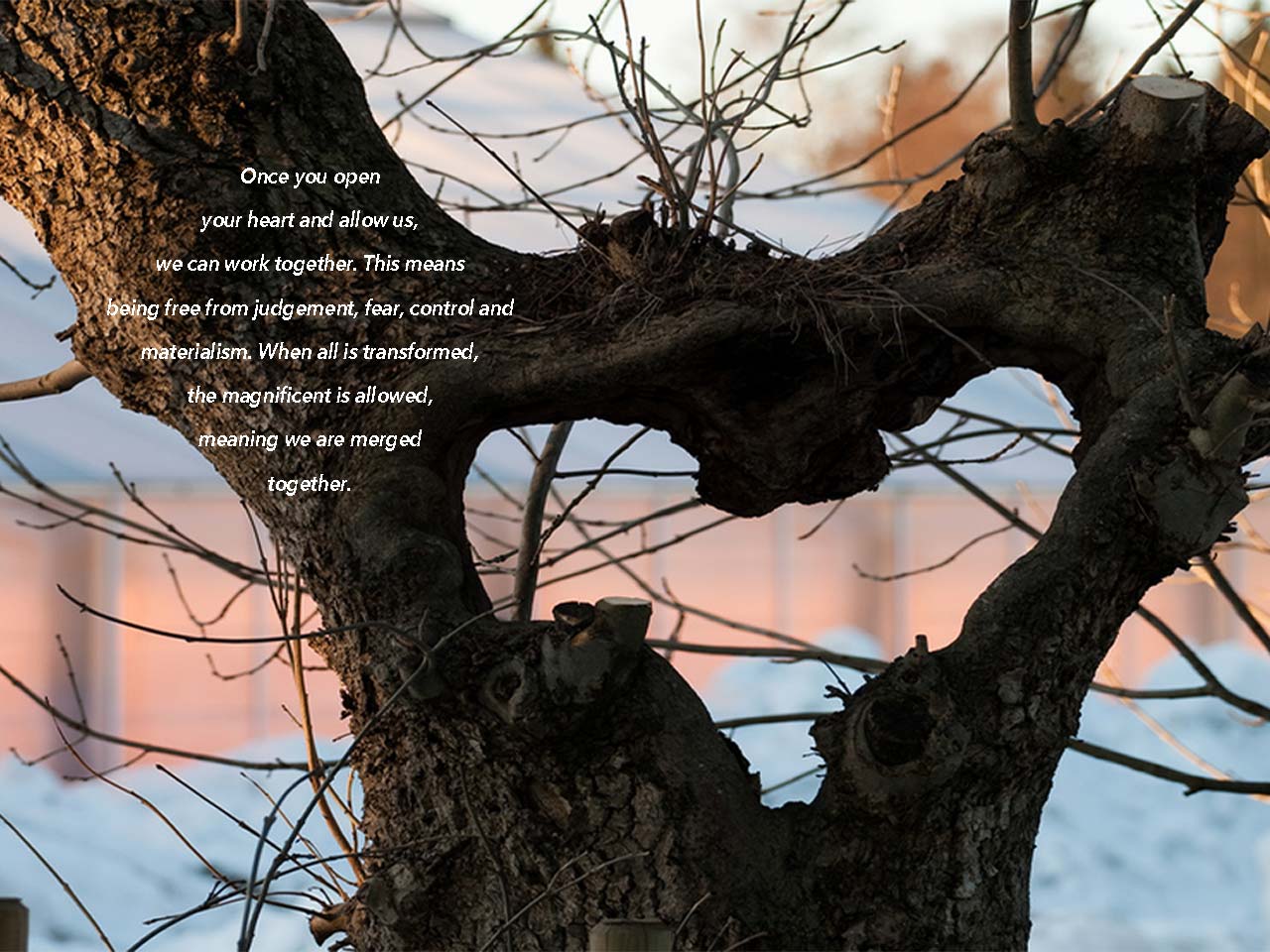 375-heart-energy-tree